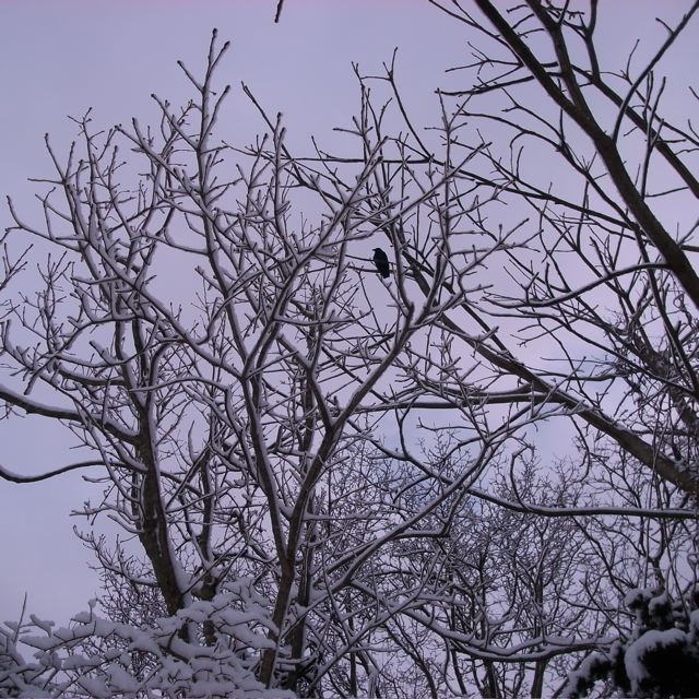 c0184643_2215464.jpg