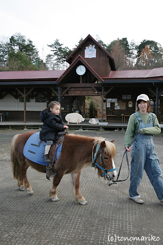 もくもくの旅はつづく…_c0024345_12542862.jpg