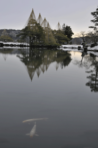 c0093046_1953064.gif