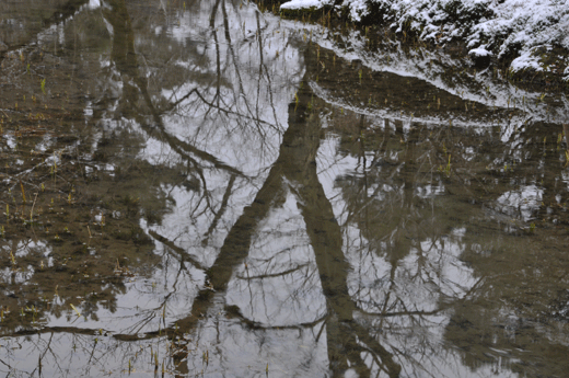 c0093046_1955076.gif