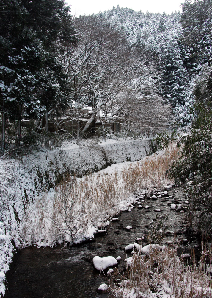 宇陀市　室生区下田口　雪景色_c0108146_22475330.jpg