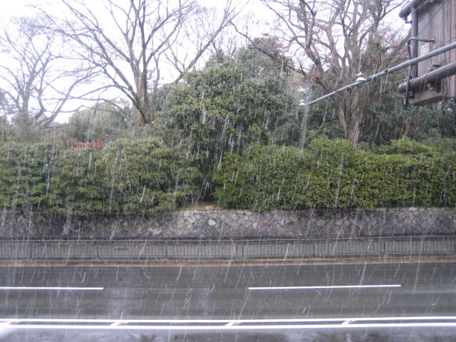 f0181251_17415059.jpg