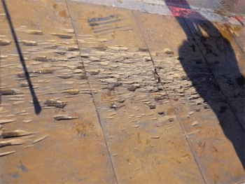 a0044453_9153920.gif