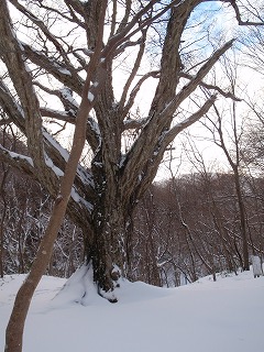 初めての雪中テント泊は寒くて寒くて……だけど快適だった～♪_c0097754_2272199.jpg