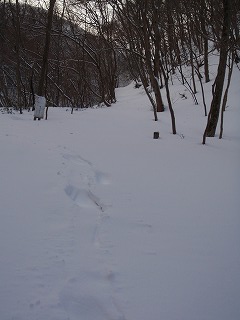 初めての雪中テント泊は寒くて寒くて……だけど快適だった～♪_c0097754_2274542.jpg