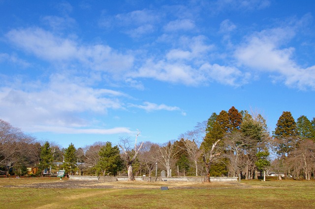 d0041158_1815598.jpg
