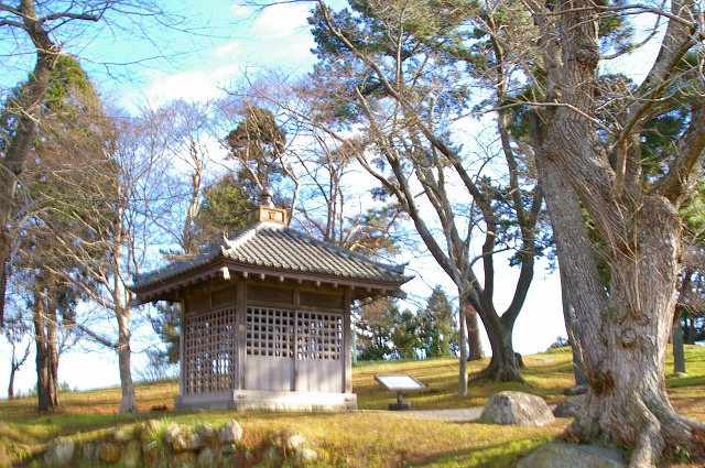d0041158_18182767.jpg
