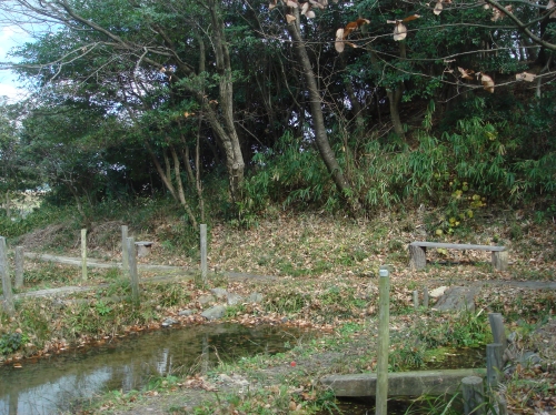 c0108460_1582898.jpg