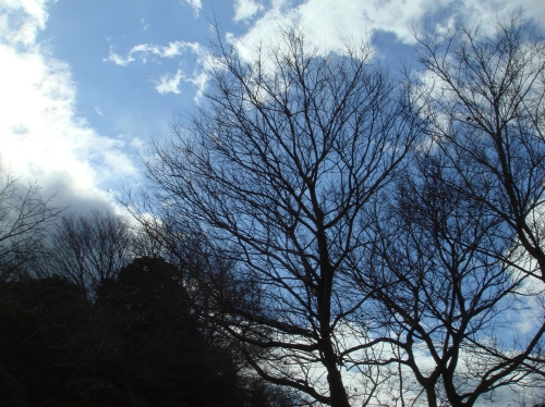 c0108460_1585657.jpg