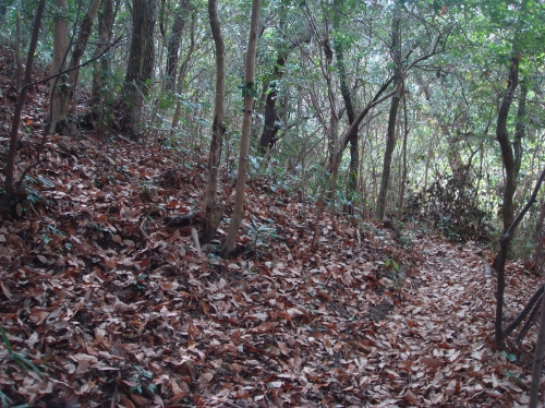 c0108460_1593048.jpg