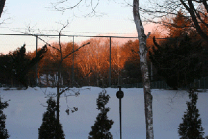 e0001360_22393019.gif