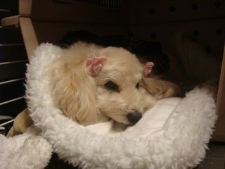 2009.1.13 早いもので…_a0083571_1649676.jpg