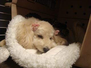 2009.1.13 早いもので…_a0083571_16511536.jpg