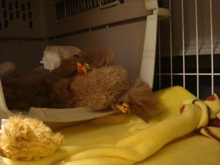 2009.1.13 早いもので…_a0083571_16512212.jpg