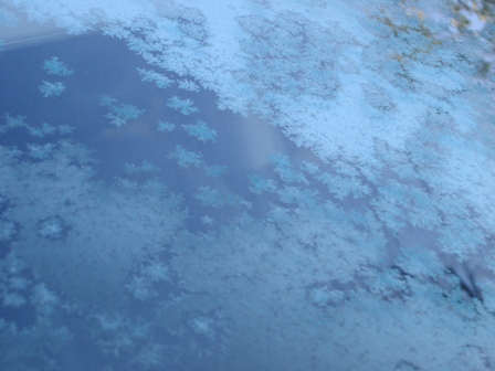 a0091680_16574920.jpg