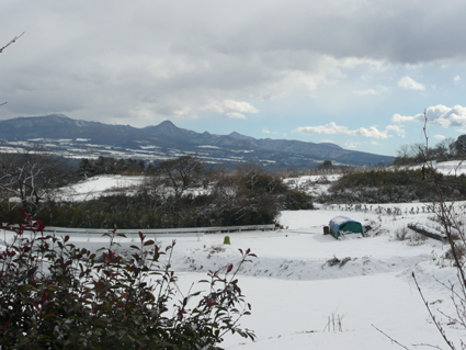 Snow ! - 雪! -_f0186787_15384222.jpg