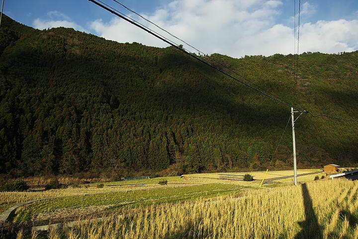 d0069495_22254441.jpg