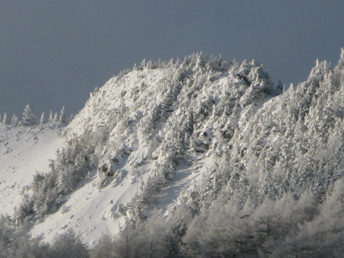 雪景色のすばらしさ_e0120896_9224258.jpg