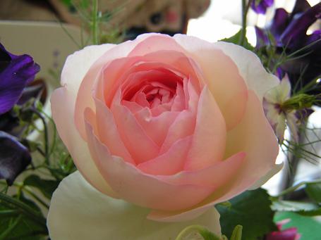 a0080002_22585567.jpg