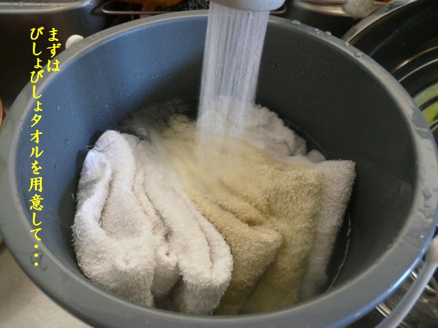 e0094407_2328992.jpg