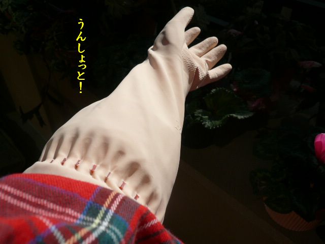 e0094407_23382124.jpg