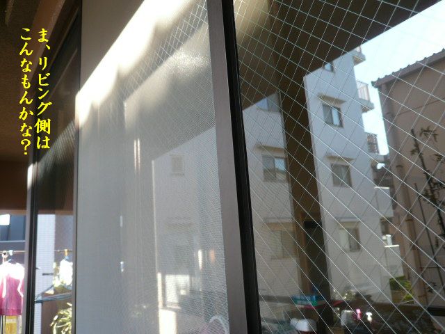 e0094407_2354791.jpg
