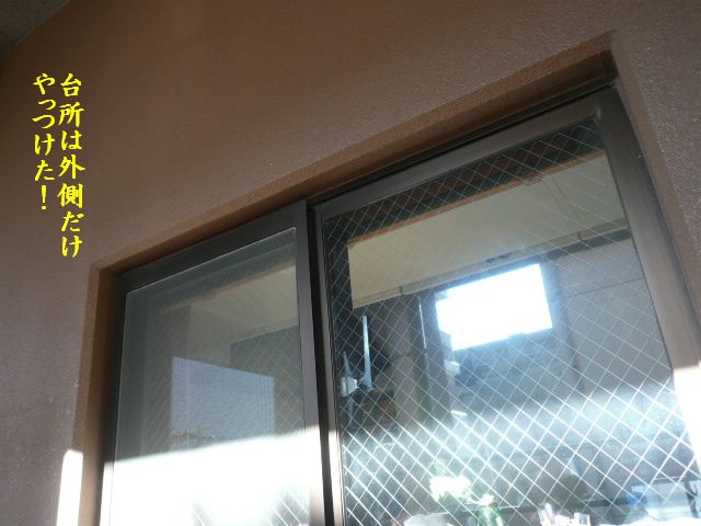 e0094407_2355127.jpg