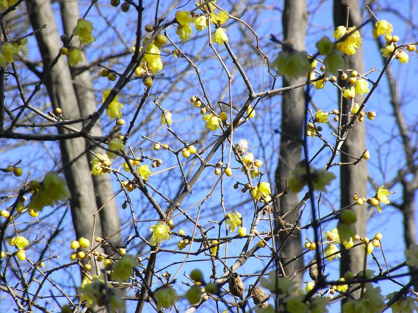 e0063317_11331981.jpg
