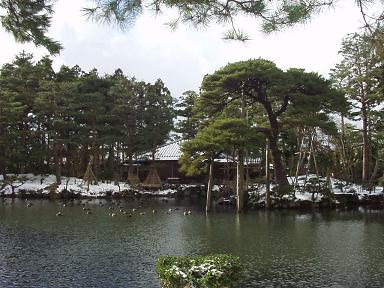 清水園の雪景色に見る_e0135219_11552756.jpg
