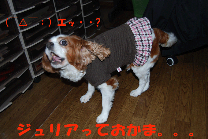 c0136838_11272879.gif