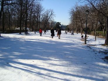 e0120938_1932653.jpg