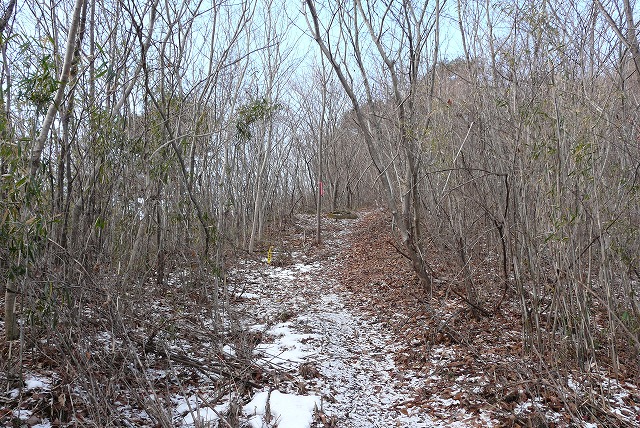 f0003138_15552057.jpg