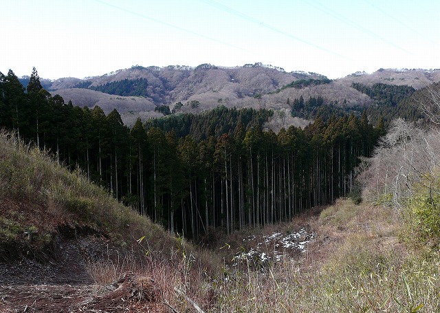 とことん五社山（1月13日）_f0003138_15571088.jpg