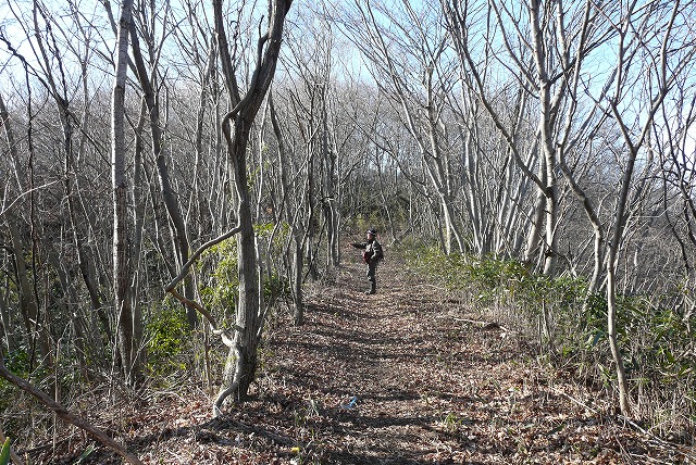 とことん五社山（1月13日）_f0003138_15583416.jpg