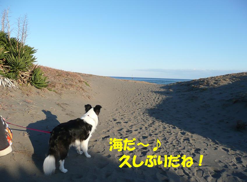 c0147241_22442688.jpg
