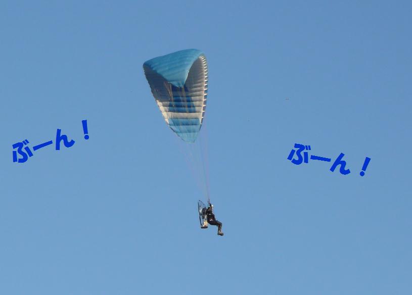 c0147241_22444244.jpg