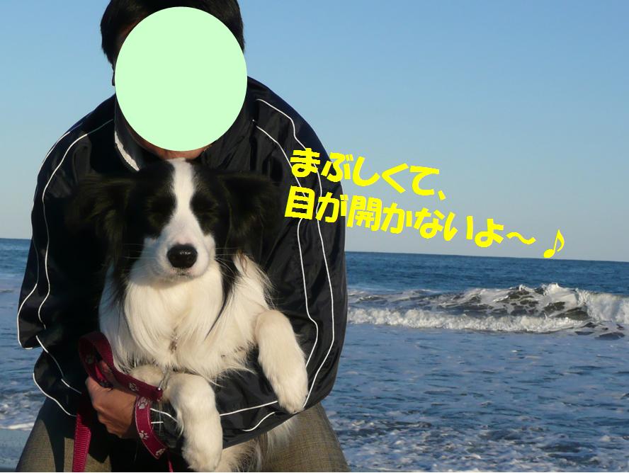 c0147241_2245727.jpg