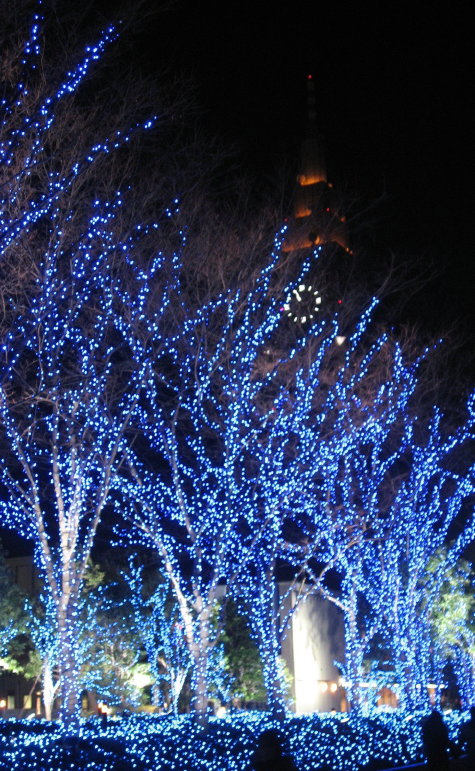 f0089352_09765.jpg