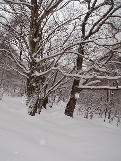 初めての雪中テント泊は寒くて寒くて……だけど快適だった～♪_c0097754_1365912.jpg