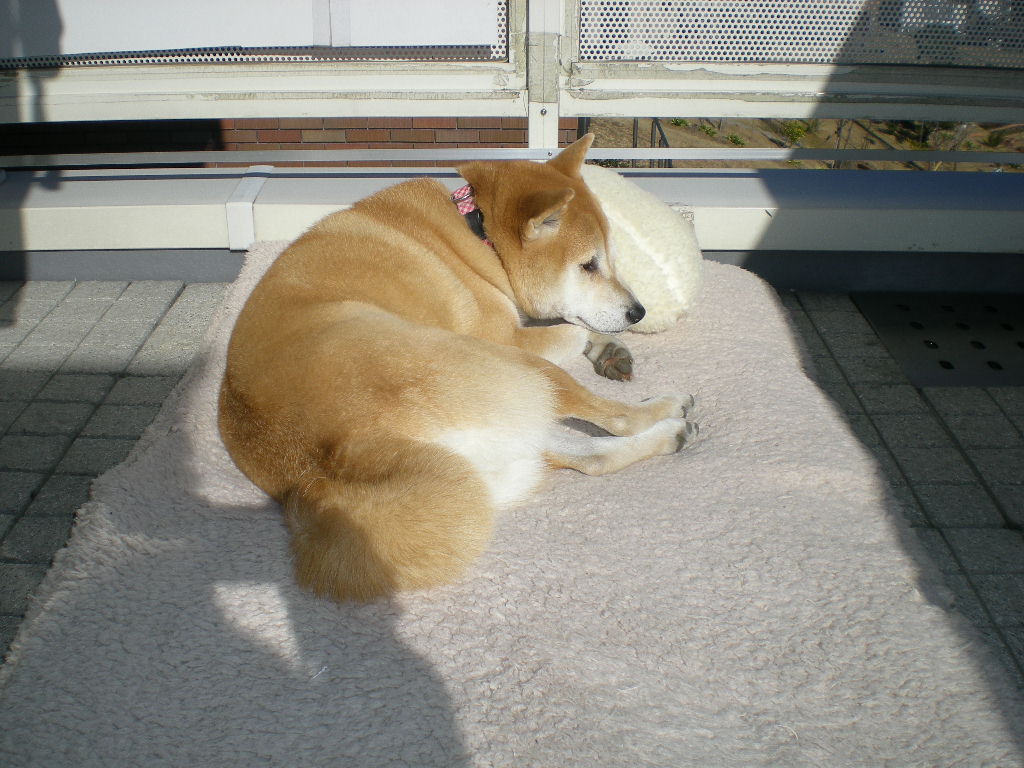 2009年1月14日(水)初スケッチ!_f0060461_1259478.jpg