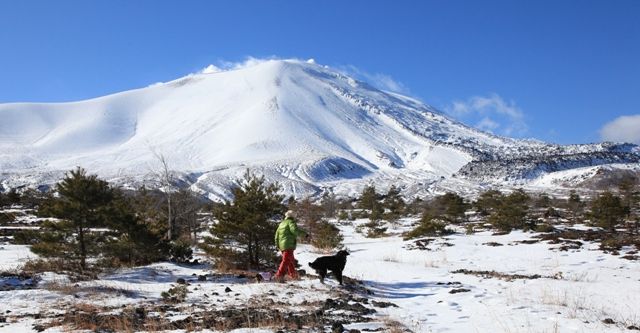 2009　夢のようなフラット多頭飼い　浅間山の巻_c0134862_2394487.jpg