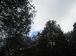 c0148270_1425977.jpg