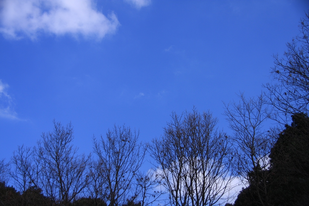 e0024081_14442499.jpg