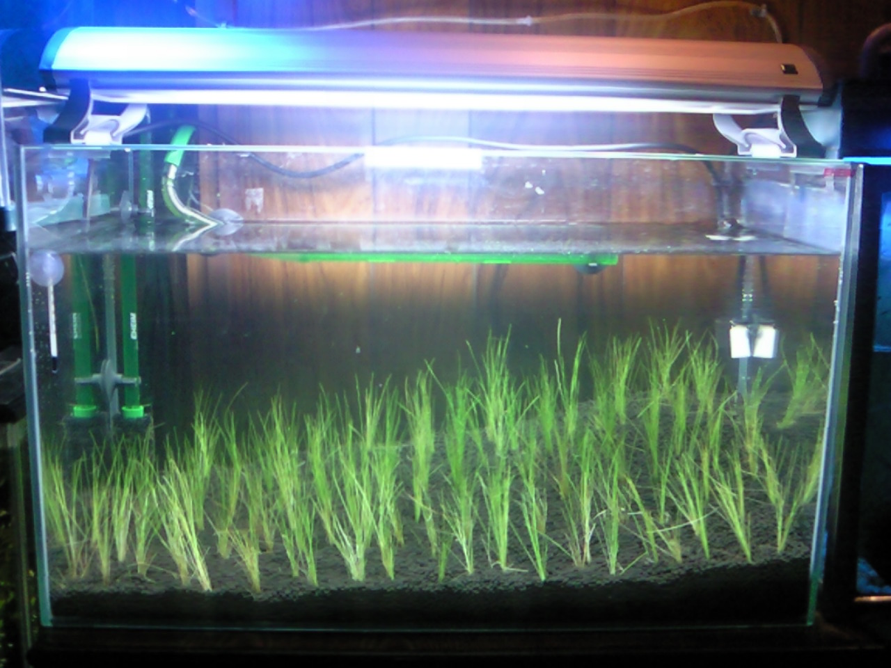 c0192685_20102314.jpg