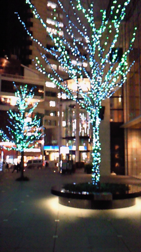 東京に帰る?行く?_d0133485_1039446.jpg