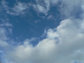 e0160494_2225317.jpg