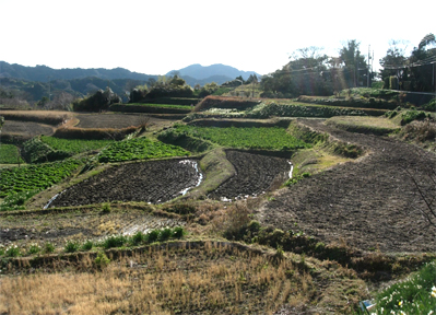 d0129295_13524988.jpg