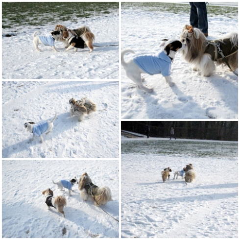 ソー公園は雪景色~♪_c0090198_5343854.jpg