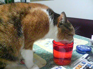 f0036700_13224791.jpg