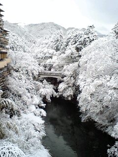 雪化粧～美しい_d0093903_10524896.jpg